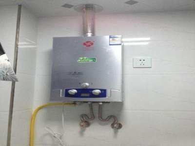 阿里斯顿电热水器e1什么意思